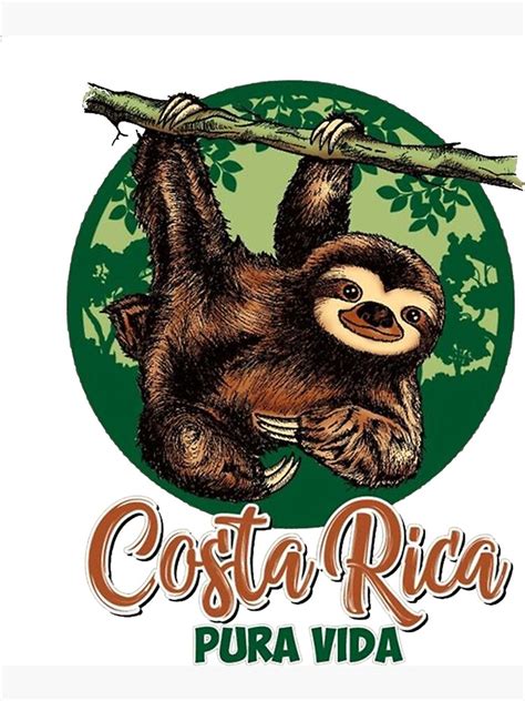 Pura Vida Costa Rica Cute Sloths Sun Nature Costa Summer Vacatio Beach