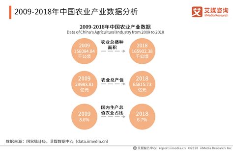 2020 2021年中国后“疫”时代农业产业发展及前景趋势分析报告农产品