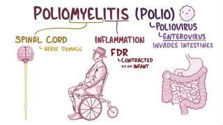 Picornaviruses Notes Diagrams Illustrations Osmosis