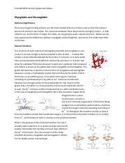 Myoglobin And Hemoglobin Pdf Pozzi Bich Lecture Supplement Notes