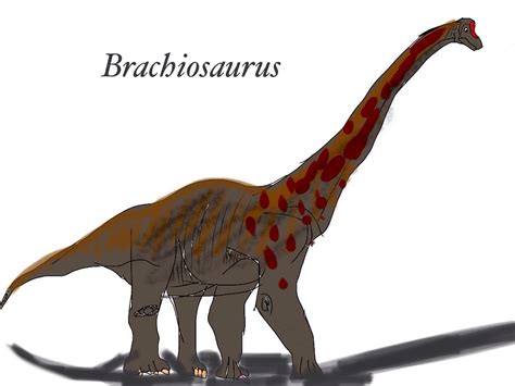 Brachiosaurus by Vespisaurus on DeviantArt