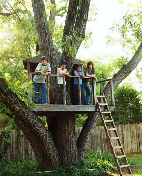 50 Kids Treehouse Designs