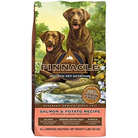 15 Top Dog Food Brands: 2019 Review (Best Dry Dog Foods)