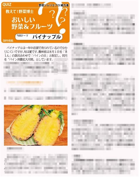 2023年7月27日 神奈川新聞「イマカナ」定期連載 49 パイナップル｜新着情報｜みなとの野菜大辞典