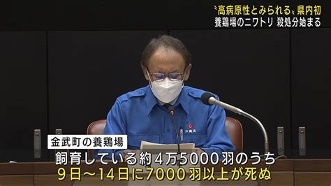 金武町で「高病原性とみられる」鳥インフルエンザ 沖縄県内で初めて確認 Qab News Headline