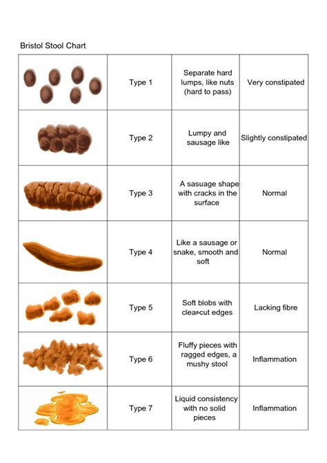 Bristol Chart For Stool Learn More Here Stoolz