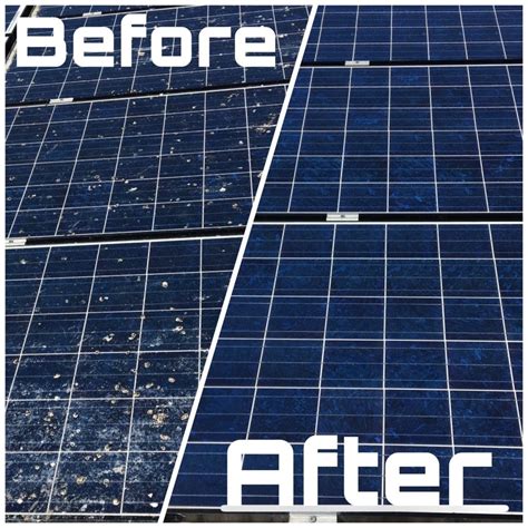 How To Clean Solar Panels True South Solar