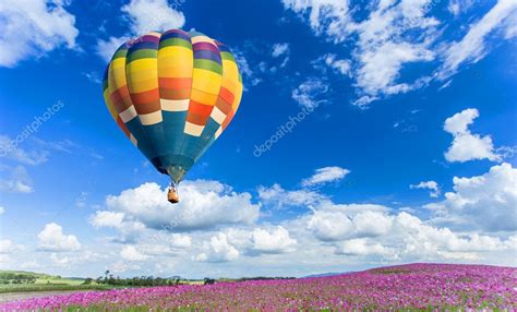 Colorful Hot Air Balloon Over Pink Flower Fields With Blue Sky