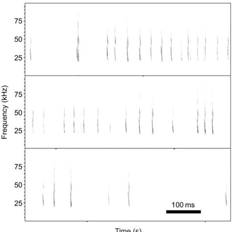 Spectrogram Fast Fourier Transform Window Size Frame