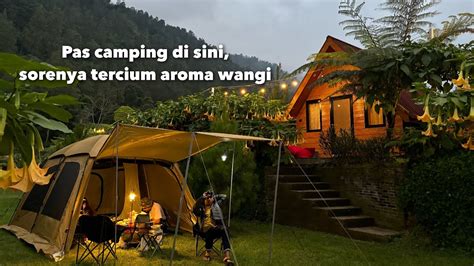 Camping Groundnya Penuh Bunga Merbabu Sae Private Camping Dan