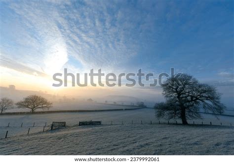 10,676 Snowy Field Sunrise Forest Images, Stock Photos, 3D objects ...