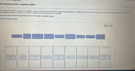 Solved Respiratory Chegg