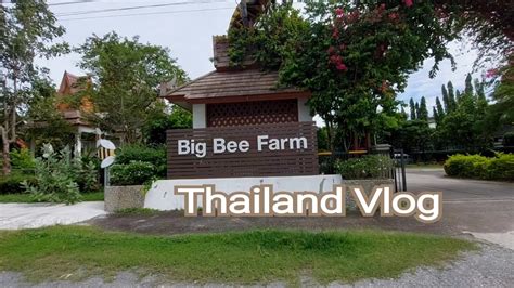 Big Bee Farm Big Bee Farm Pattaya Thailand Youtube