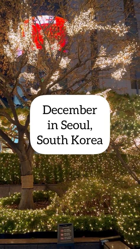 30 Seoul Christmas Lights And Christmas Events Photos 2024 Ck Travels