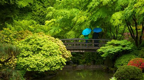 Japanese Garden In Portland Oregon Pics