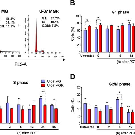 Cell Doubling Time In Response To Pdt Cell Population Doubling Time Of