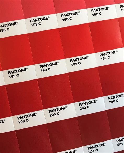 Pantone La Copa Menstrual