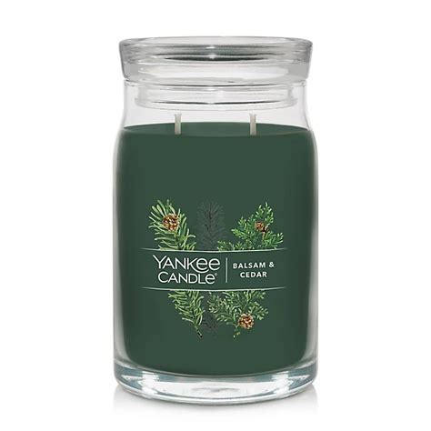 Yankee Candle 1629974 Balsam And Cedar Signature Large Jar Candle Brickseek