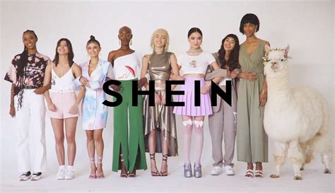 Descubrir Imagen Que Es Shein Ropa Abzlocal Mx