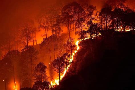 10 Kebakaran Hutan Terparah yang Pernah Terjadi di Dunia, Indonesia ...