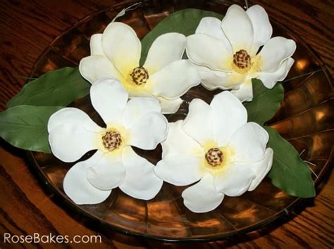 Craftsy Class How To Make Southern Sugar Flowers Magnolia And Dogwood