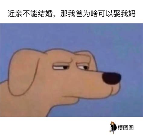 沙雕梗图近亲不能结婚那我爸为啥可以娶我妈 哔哩哔哩