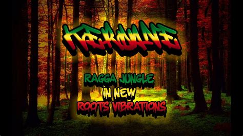 Ragga Jungle Drum Bass Mix Ragga Jungle New Roots Vibrations Drum