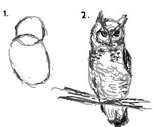 tutorial draw circle draw rest of the owl - Drawception