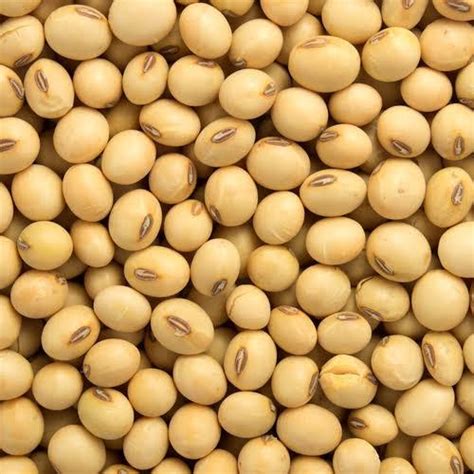 Soya Beans 1 Kg Lazada Ph