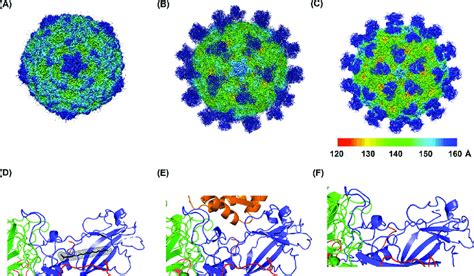 Cryo-EM structure of E18 and its complex with receptor FcRn. (A to C)... | Download Scientific ...