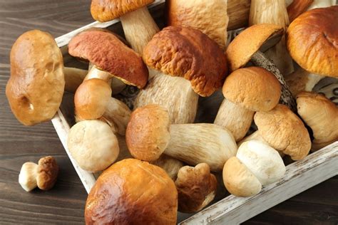 Best Shiitake Mushroom Substitutes For Cooking Updated