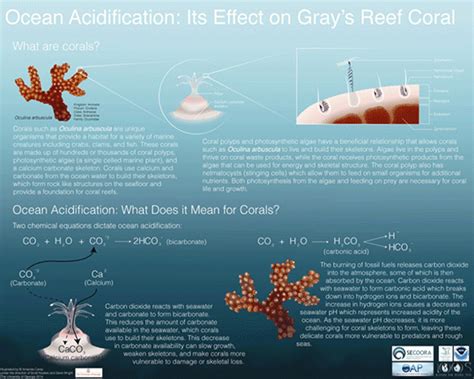 Ocean Acidification Monitoring Science Gray S Reef National Marine