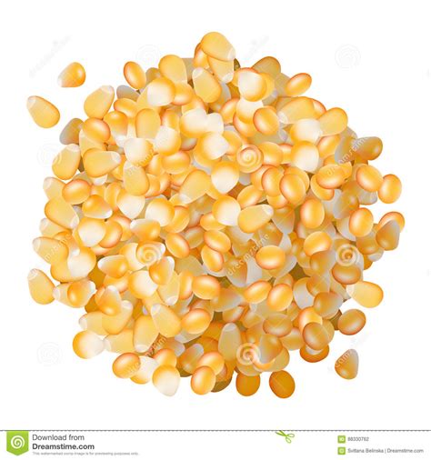 Corn Seeds Pile Top View On White Background Stock Vector