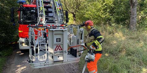 Ast Droht Zu Fallen Freiwillige Feuerwehr Pinneberg