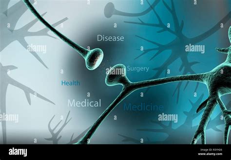 Synapse Stock Photo Alamy