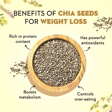 Chia Seeds Benefits For Weight Loss Ajnasbyaf