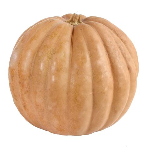 Calabaza