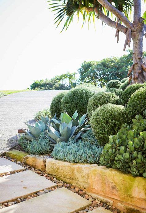 52 Coastal Garden Sydney Ideas In 2021 Coastal Gardens Australian