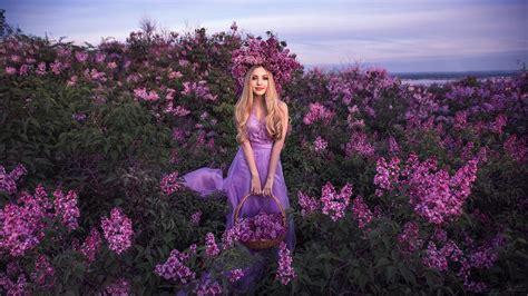 Download Depth Of Field Pink Flower Blonde Pink Dress Basket Lilac