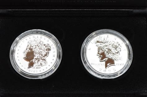 Morgan And Peace Dollar Two Coin Reverse Proof Set Blemished