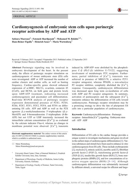 Cardiomyogenesis Of Embryonic Stem Cells Upon Purinergic Receptor