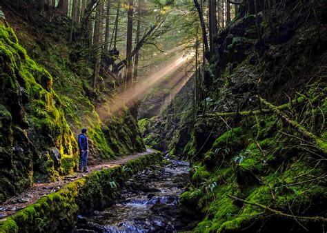 The best forest walks in Scotland - Love from Scotland