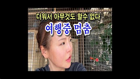 연일 체감온도40도 넘는 불볕더위 여행도 잠시 쉬어가기 세르비아 소고기나 뜯자 serbia beograd 한달살기