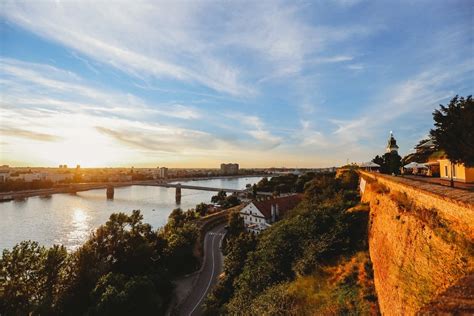 picture aerial bridge cityscape danube serbia tourist