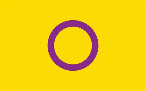 Intersex Pride Flag Sexual Identity Pride Flag 25756003 Vector Art At