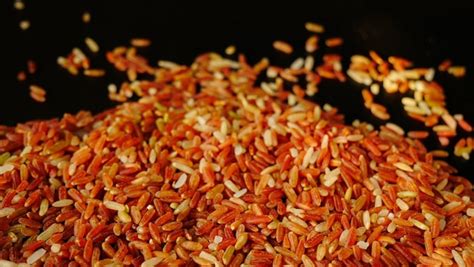 Variedades de granos de arroz Arroz de jazmín rojo o arroz marrón rojo