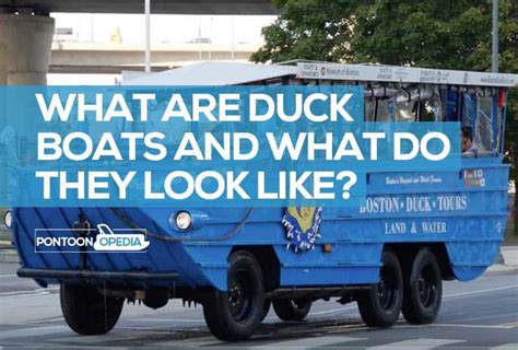 What is a Duck Boat and What Does it Look Like? (Photos & Video)