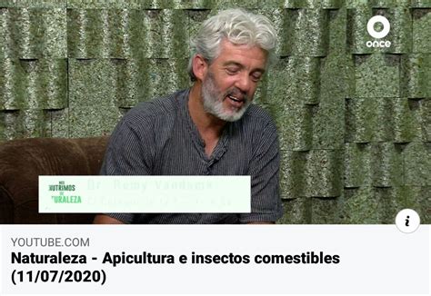 Entrevista A R My Vandame Apicultura E Insectos Comestibles