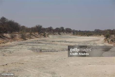 85 Lake Makgadikgadi Stock Photos, High-Res Pictures, and Images ...