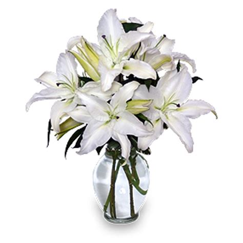 Lily Phillips Net Worth: The Wildest Purchase She's Ever Made!